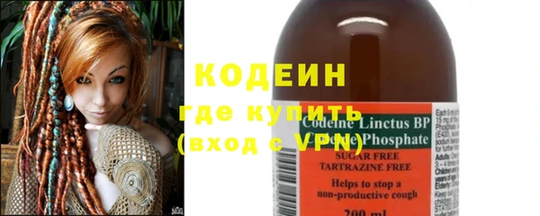 мдпв Краснослободск