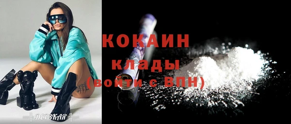 мдпв Краснослободск