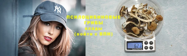 PSILOCYBIN Краснотурьинск