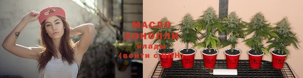 мдпв Краснослободск
