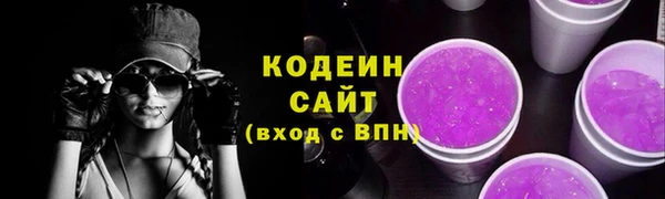 мдпв Краснослободск