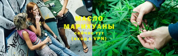 мдпв Краснослободск