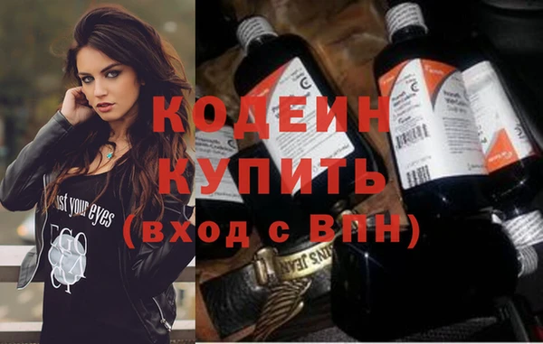 мдпв Краснослободск