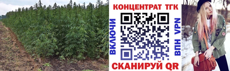 Купить где  Лосино-Петровский  Дистиллят ТГК вейп с тгк 