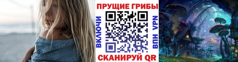 Купить закладки Лосино-Петровский Галлюциногенные грибы Cubensis